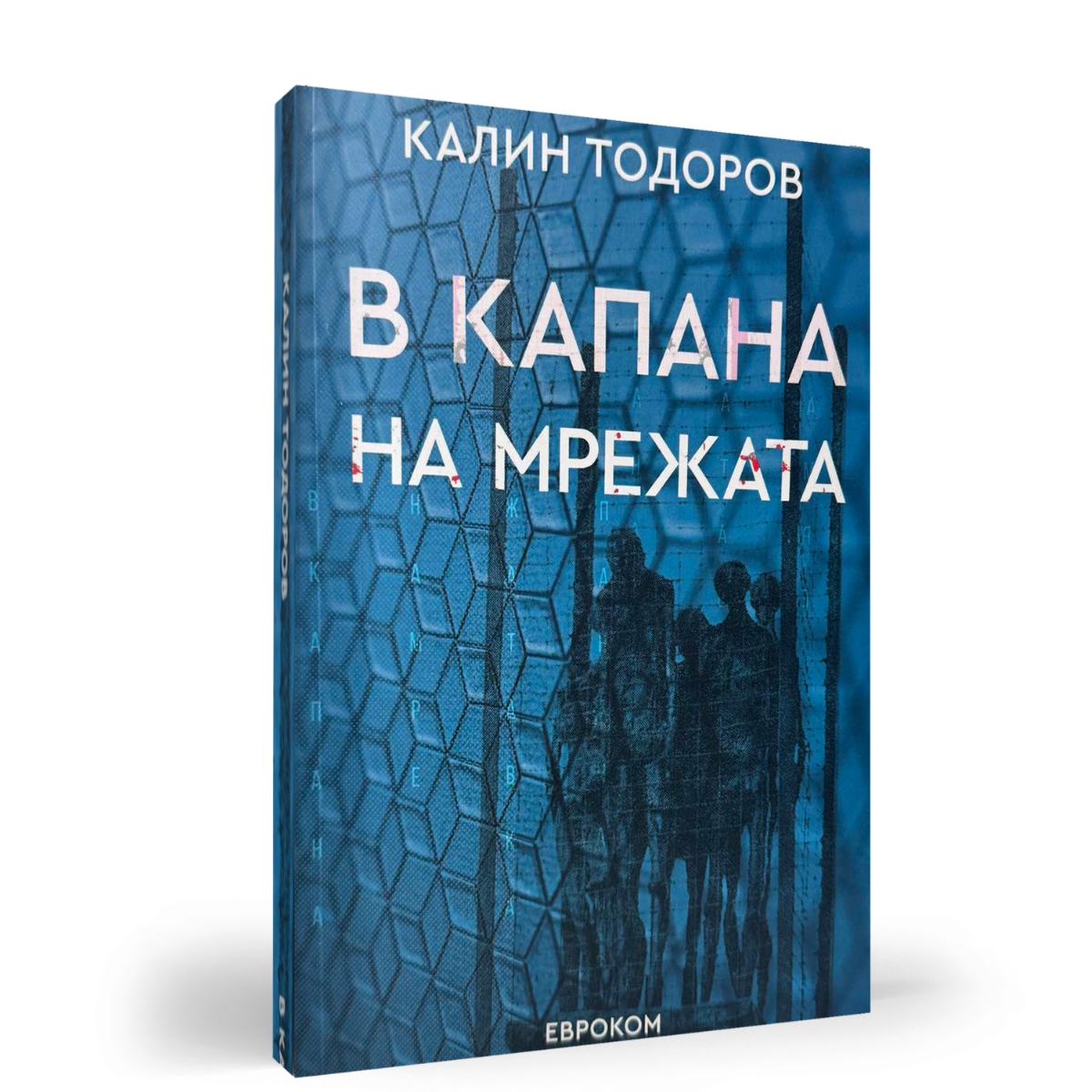 „В капана на мрежата“ – продължението на „Скитник в мрежата“